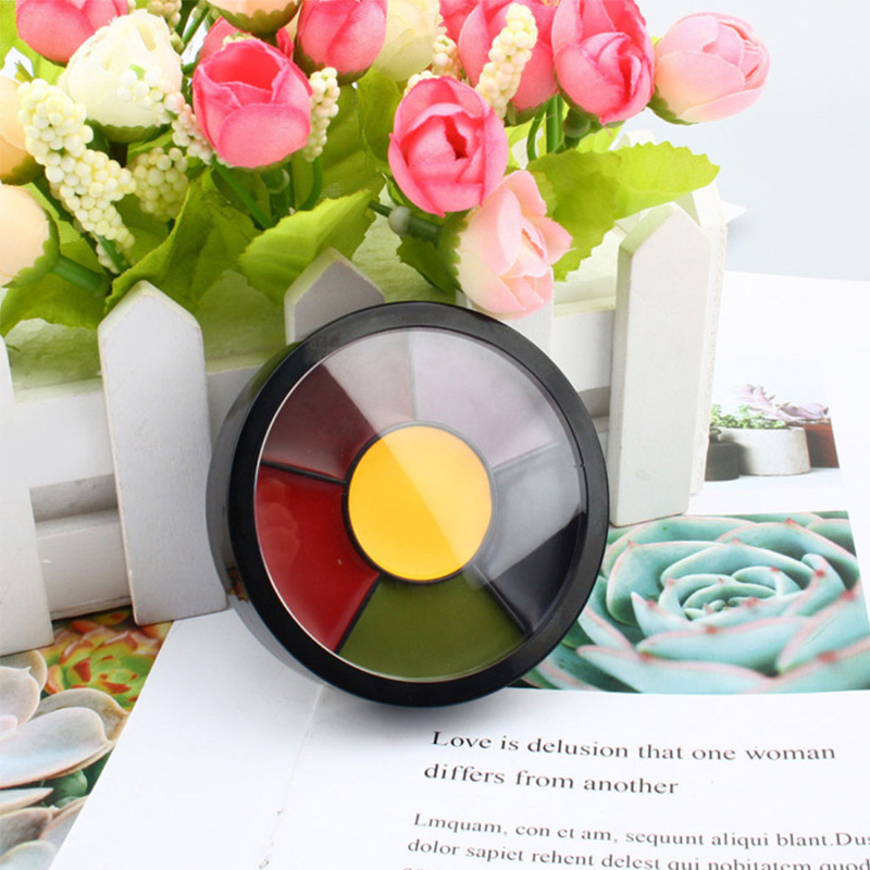 6-Farben-Ölfarbenpalette für P – Camo Face Paint Bewertung und Preis