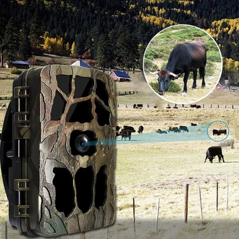 H982 IP66 Wasserdichte 4K Outd – Hunting Outdoor Camera Bewertung und Preis