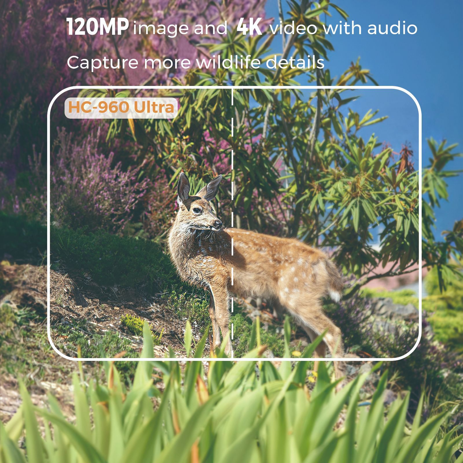 4G Wildtier-Infrarotkamera für – Hunting Outdoor Camera Bewertung und Preis